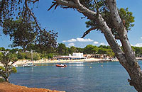 cala pada